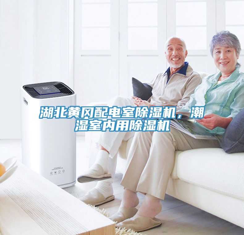 湖北黃岡配電室榴莲视频官网APP，潮濕室內用榴莲视频官网APP