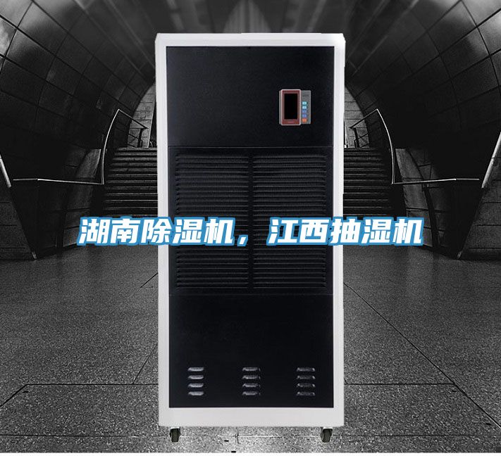 湖南榴莲视频官网APP，江西抽濕機