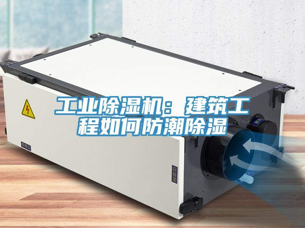 工業榴莲视频官网APP：建築工程如何防潮除濕