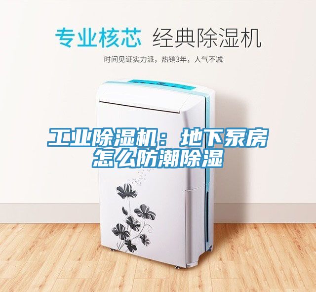 工業榴莲视频官网APP：地下泵房怎麽防潮除濕
