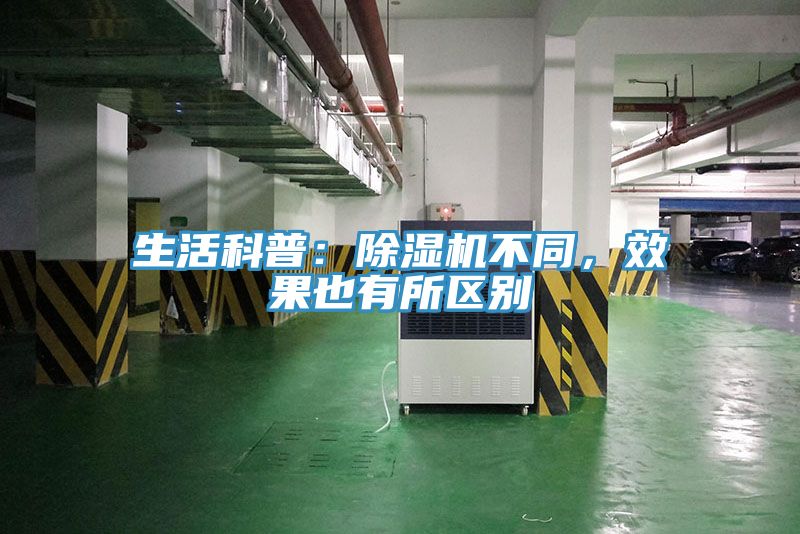 生活科普：榴莲视频官网APP不同，效果也有所區別