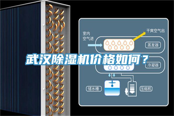 武漢榴莲视频官网APP價格如何？