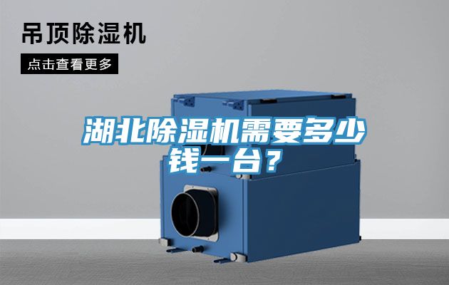 湖北榴莲视频官网APP需要多少錢一台？