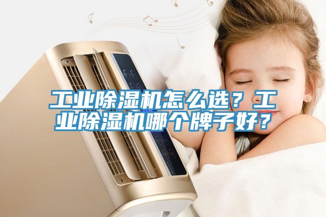 工業榴莲视频官网APP怎麽選？工業榴莲视频官网APP哪個牌子好？