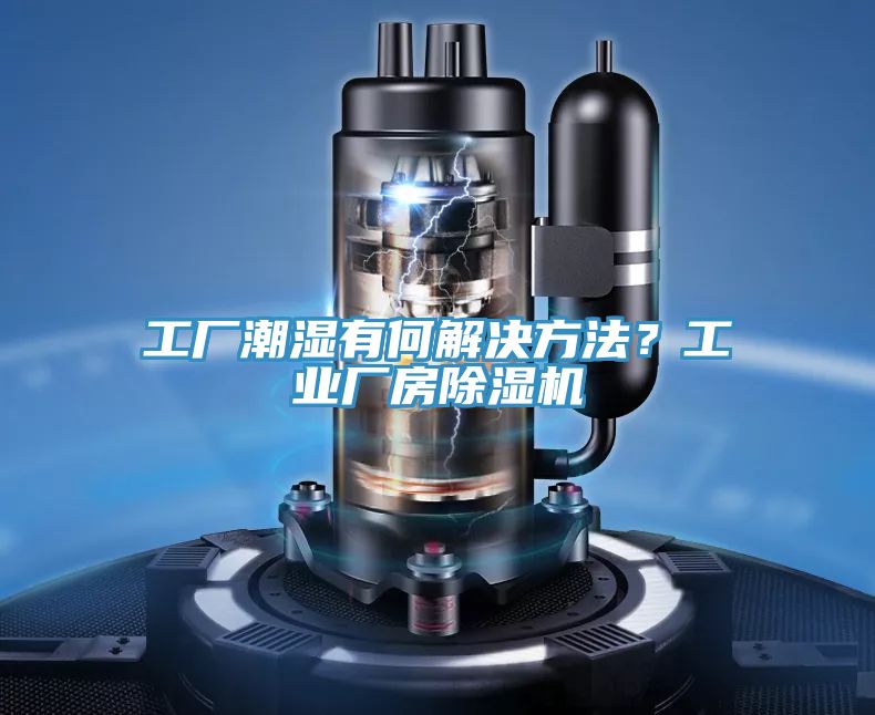 工廠潮濕有何解決方法？工業廠房榴莲视频官网APP