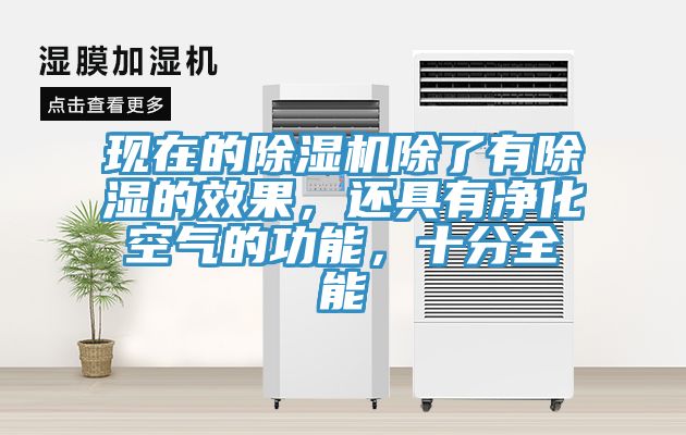 現在的榴莲视频官网APP除了有除濕的效果，還具有淨化空氣的功能，十分全能