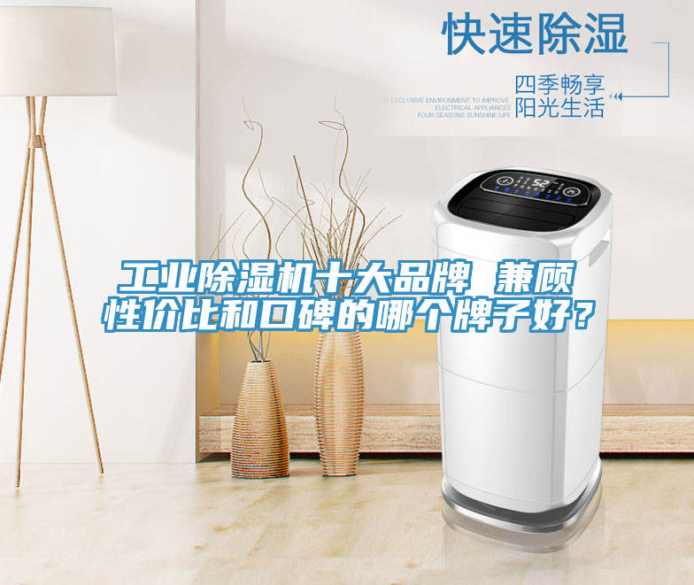 工業榴莲视频官网APP十大品牌 兼顧性價比和口碑的哪個牌子好？
