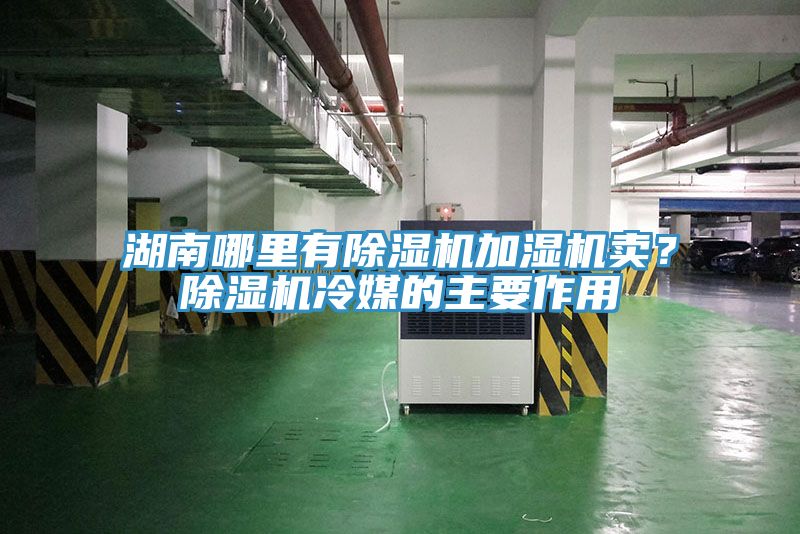 湖南哪裏有榴莲视频官网APP加濕機賣？榴莲视频官网APP冷媒的主要作用