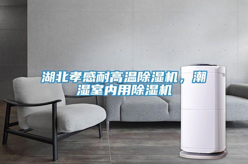 湖北孝感耐高溫榴莲视频官网APP，潮濕室內用榴莲视频官网APP