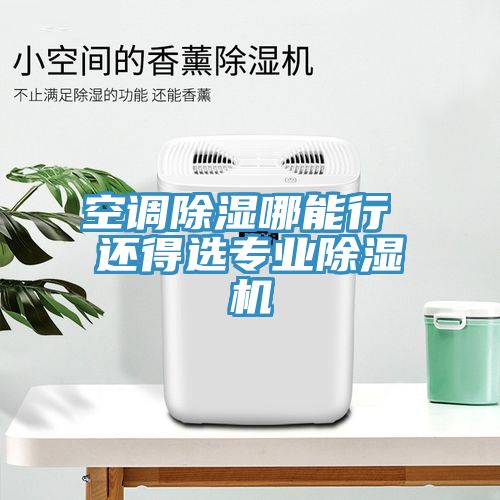 空調除濕哪能行 還得選專業榴莲视频官网APP