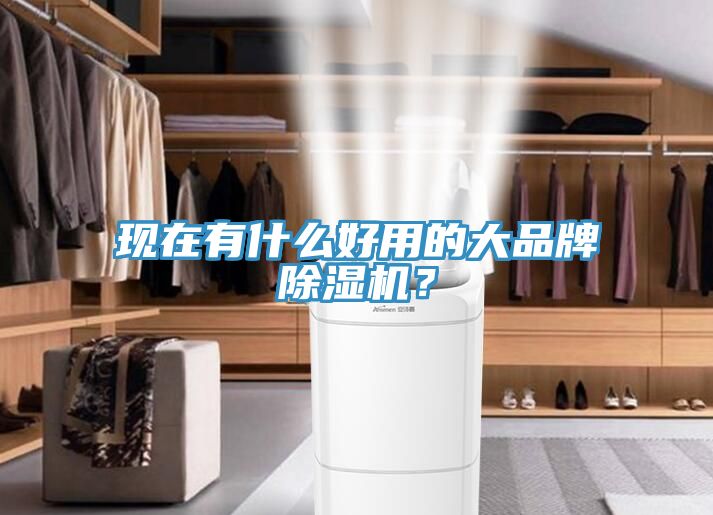 現在有什麽好用的大品牌榴莲视频官网APP？