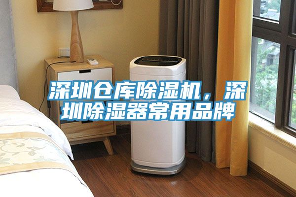 深圳倉庫榴莲视频官网APP，深圳除濕器常用品牌