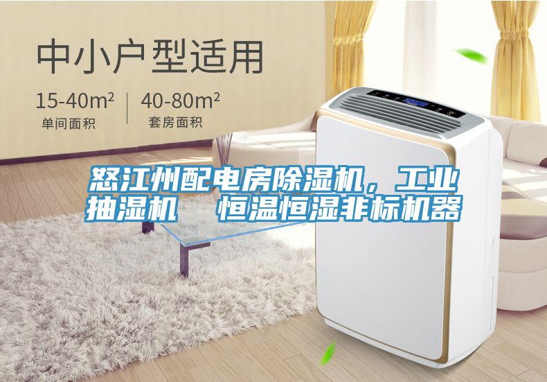 怒江州配電房榴莲视频官网APP，工業抽濕機  恒溫恒濕非標機器