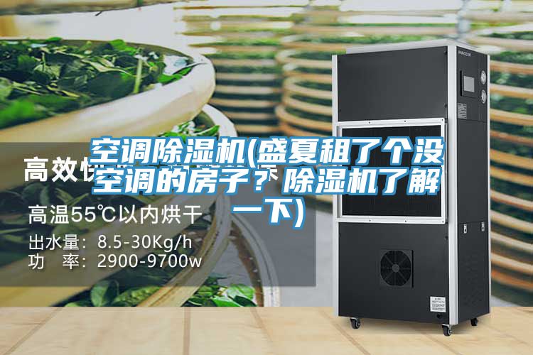 空調榴莲视频官网APP(盛夏租了個沒空調的房子？榴莲视频官网APP了解一下)