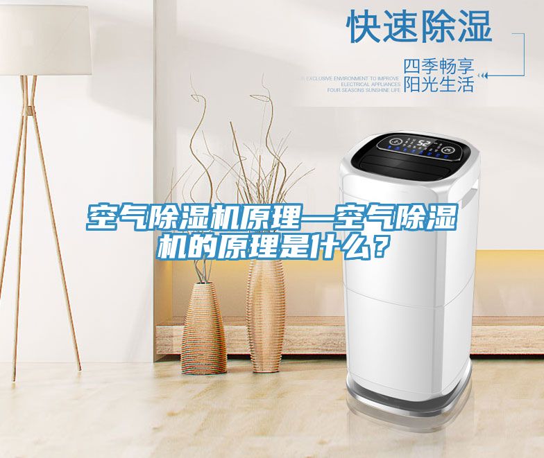 空氣榴莲视频官网APP原理—空氣榴莲视频官网APP的原理是什麽？