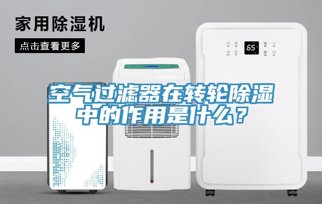 空氣過濾器在轉輪除濕中的作用是什麽？