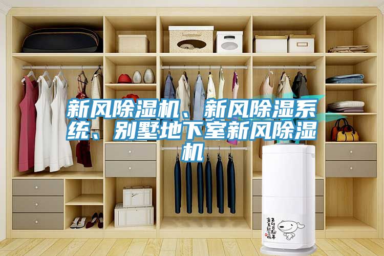 新風榴莲视频官网APP、新風除濕係統、別墅地下室新風榴莲视频官网APP