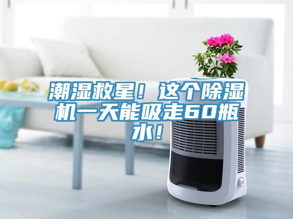 潮濕救星！這個榴莲视频官网APP一天能吸走60瓶水！