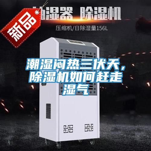 潮濕悶熱三伏天，榴莲视频官网APP如何趕走濕氣