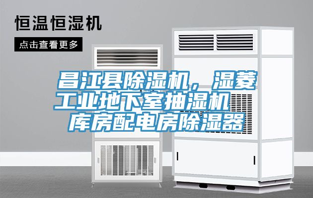 昌江縣榴莲视频官网APP，濕菱工業地下室抽濕機  庫房配電房除濕器
