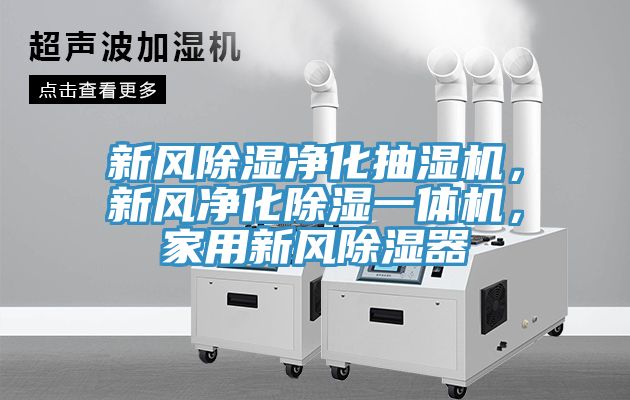 新風除濕淨化抽濕機，新風淨化除濕一體機，家用新風除濕器