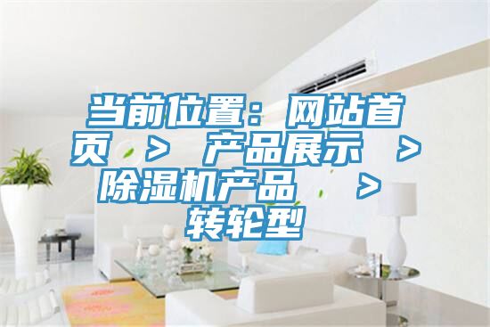 當前位置：網站首頁 ＞ 產品展示 ＞ 榴莲视频官网APP產品  ＞ 轉輪型