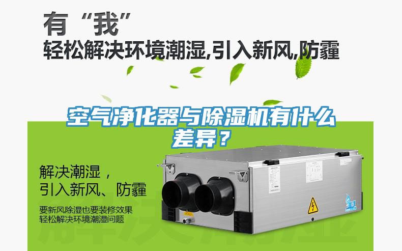 空氣淨化器與榴莲视频官网APP有什麽差異？