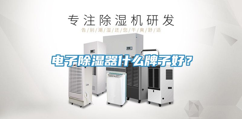 電子除濕器什麽牌子好？