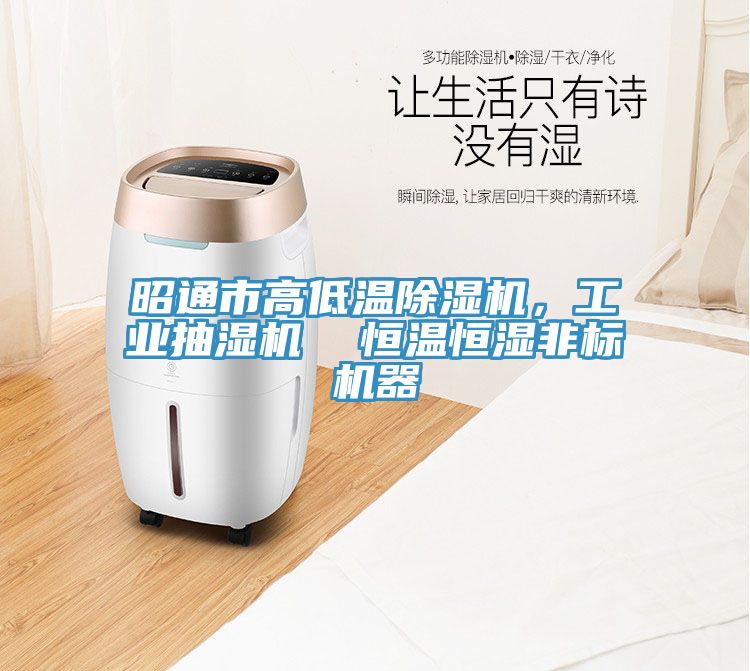 昭通市高低溫榴莲视频官网APP，工業抽濕機  恒溫恒濕非標機器
