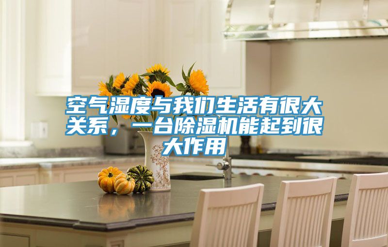 空氣濕度與榴莲网站在线观看生活有很大關係，一台榴莲视频官网APP能起到很大作用