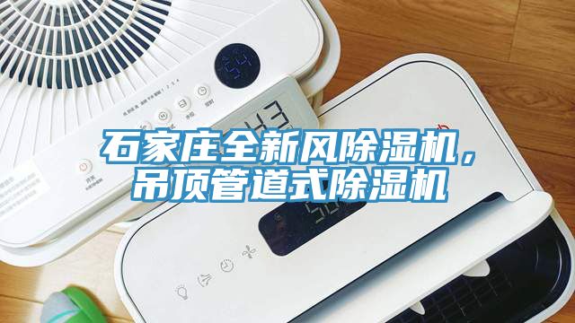 石家莊全新風榴莲视频官网APP，吊頂管道式榴莲视频官网APP