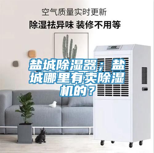 鹽城除濕器；鹽城哪裏有賣榴莲视频官网APP的？