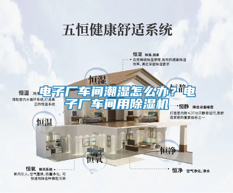 電子廠車間潮濕怎麽辦？電子廠車間用榴莲视频官网APP