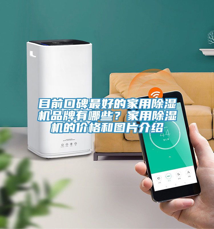 目前口碑最好的家用榴莲视频官网APP品牌有哪些？家用榴莲视频官网APP的價格和圖片介紹