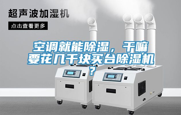 空調就能除濕，幹嘛要花幾千塊買台榴莲视频官网APP？