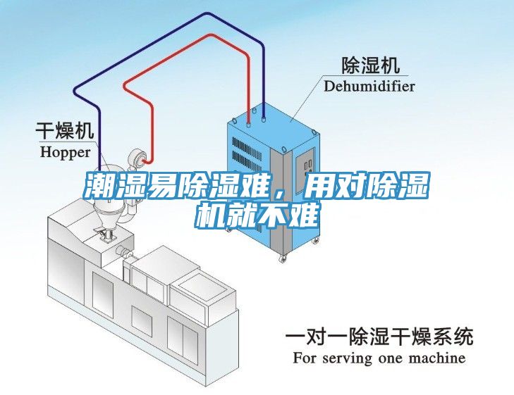 潮濕易除濕難，用對榴莲视频官网APP就不難