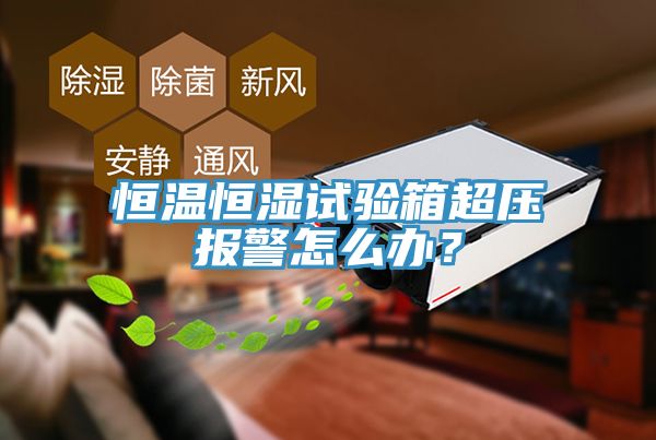 恒溫恒濕試驗箱超壓報警怎麽辦？