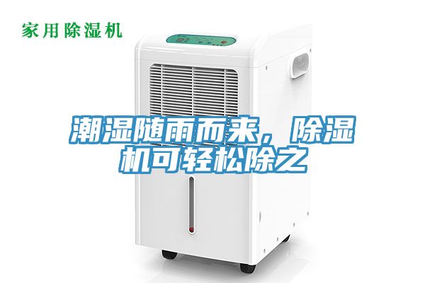 潮濕隨雨而來，榴莲视频官网APP可輕鬆除之