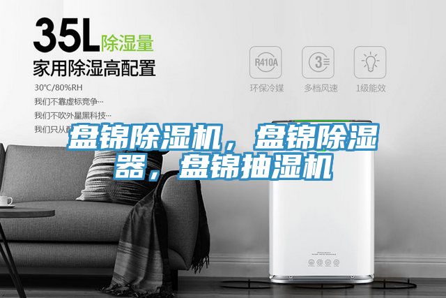 盤錦榴莲视频官网APP，盤錦除濕器，盤錦抽濕機
