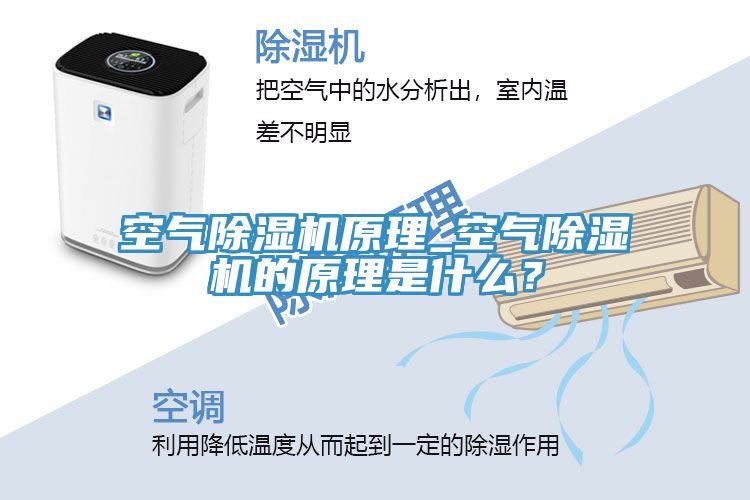 空氣榴莲视频官网APP原理_空氣榴莲视频官网APP的原理是什麽？