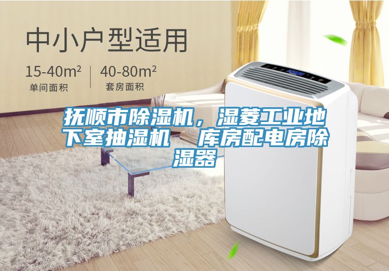 撫順市榴莲视频官网APP，濕菱工業地下室抽濕機  庫房配電房除濕器