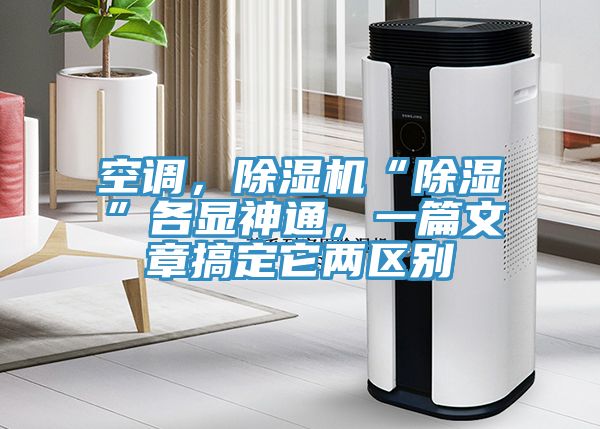 空調，榴莲视频官网APP“除濕”各顯神通，一篇文章搞定它兩區別