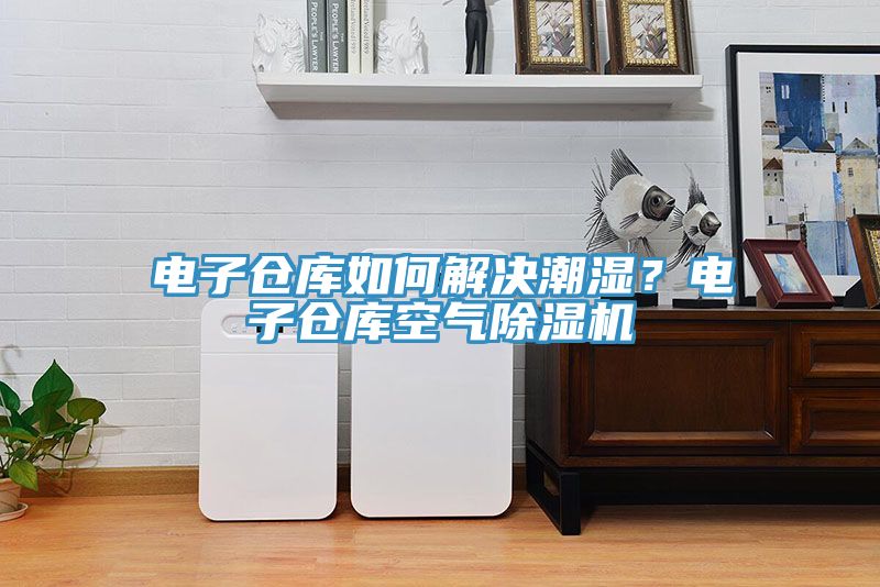 電子倉庫如何解決潮濕？電子倉庫空氣榴莲视频官网APP