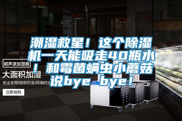潮濕救星！這個榴莲视频官网APP一天能吸走40瓶水！和黴菌蟎蟲小蘑菇說bye bye！