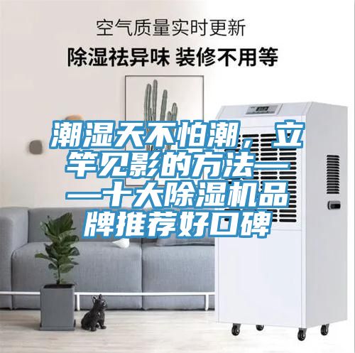 潮濕天不怕潮，立竿見影的方法——十大榴莲视频官网APP品牌推薦好口碑