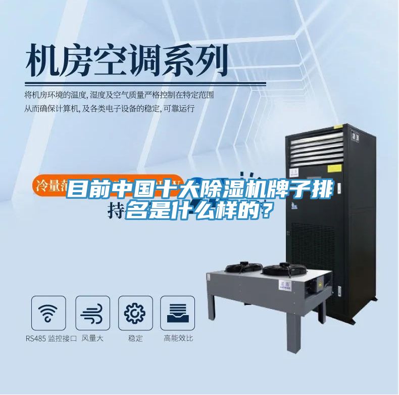 目前中國十大榴莲视频官网APP牌子排名是什麽樣的？