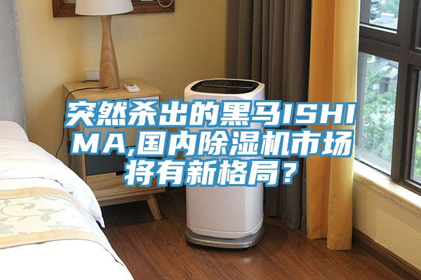 突然殺出的黑馬ISHIMA,國內榴莲视频官网APP市場將有新格局？