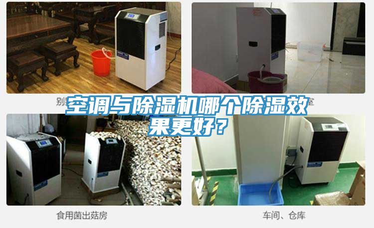 空調與榴莲视频官网APP哪個除濕效果更好？