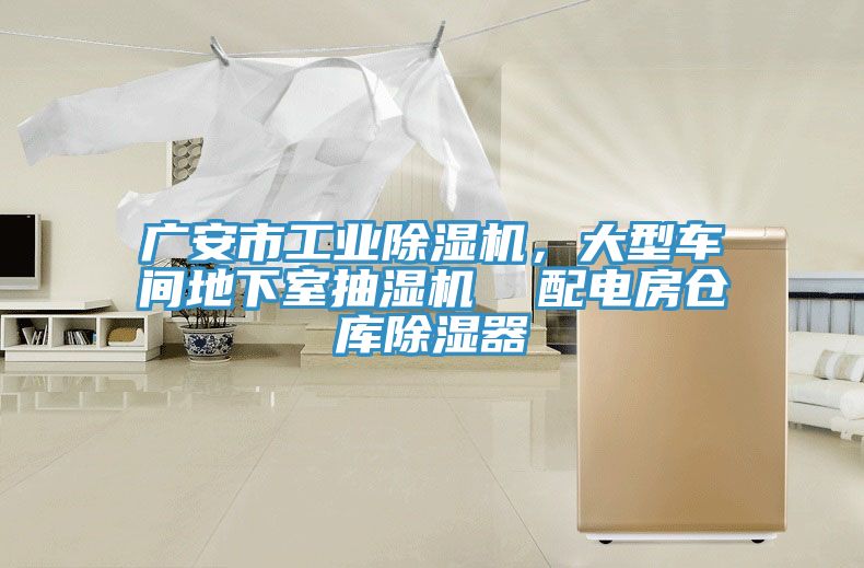 廣安市工業榴莲视频官网APP，大型車間地下室抽濕機  配電房倉庫除濕器