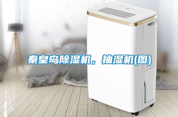 秦皇島榴莲视频官网APP，抽濕機(圖)